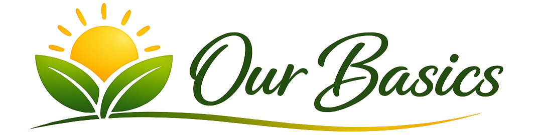 We talk about the Basics