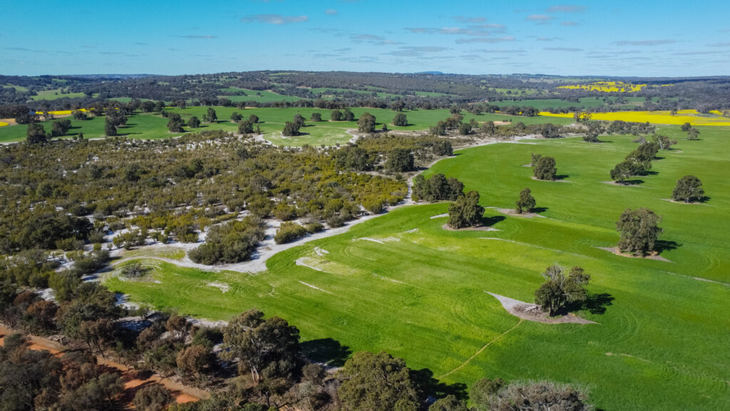 The vast Canola Farm in Perth
